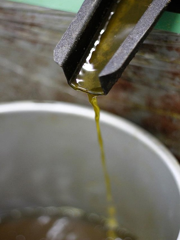 伝統を守るほうろく菜種油のこだわりと脂と油のお話