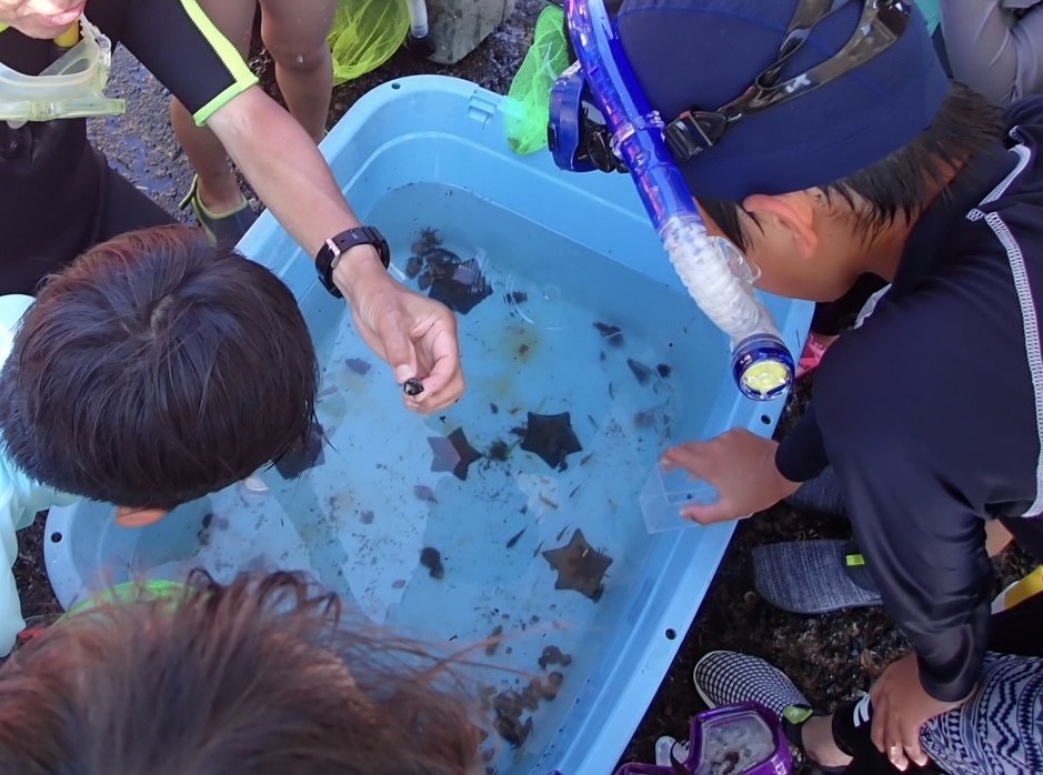 潜水先生に聞こう！夏休み海の生物教室