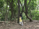 【子育てプロジェクト】森のようちえんで体験する～森遊び～